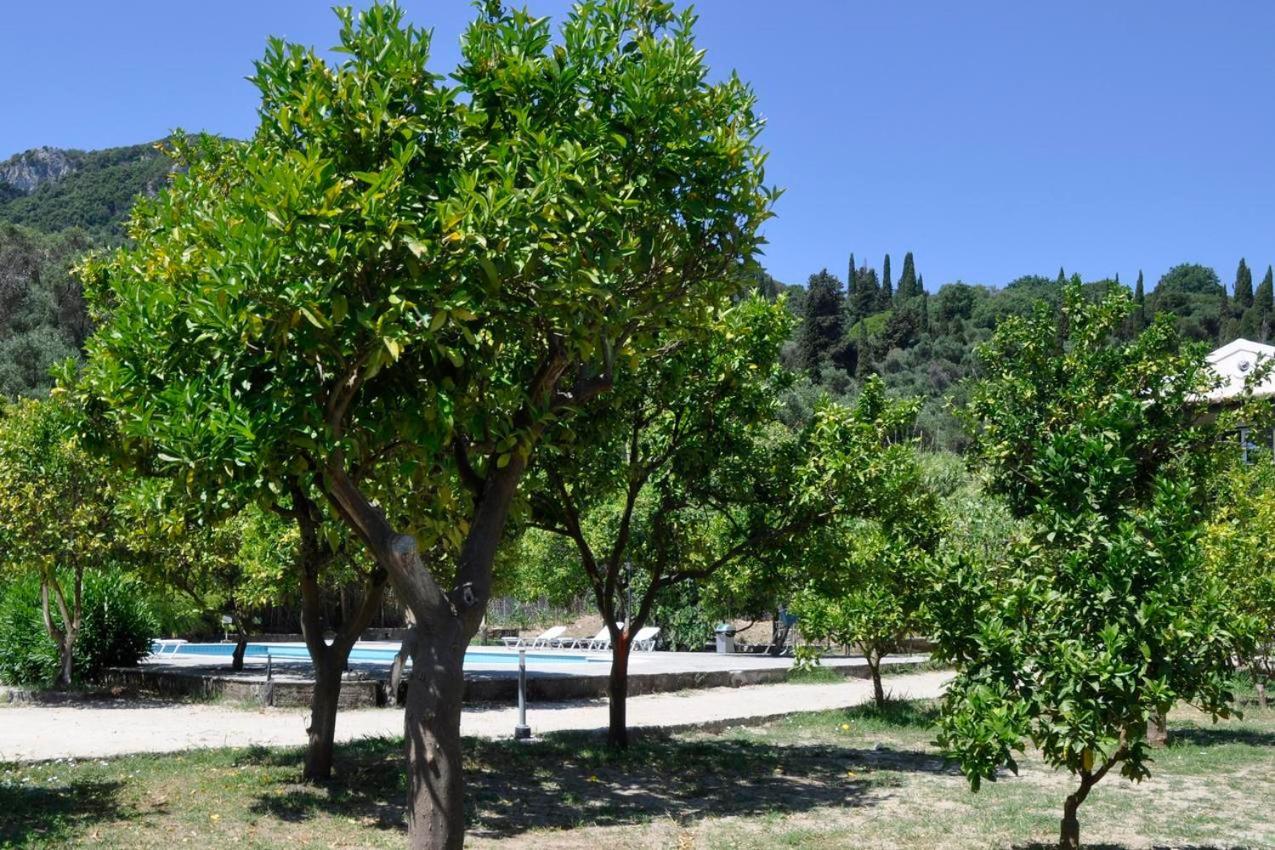 Orange Grove Suites Бенитсес Экстерьер фото